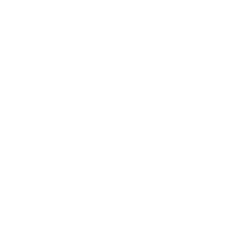 Bordo Akademi Beyaz Logo